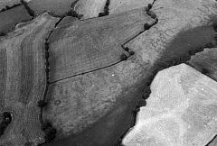 Bronze Age Barrow cemetery south-east of Elms Farm, Sheepy Magna. © Jim Pickering/NMR Bronze Age Barrow cemetery south-east of Elms Farm, Sheepy Magna. © Jim Pickering/NMR