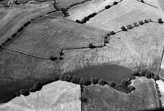 Bronze Age Barrow cemetery south-east of Elms Farm, Sheepy Magna. © Jim Pickering/NMR Bronze Age Barrow cemetery south-east of Elms Farm, Sheepy Magna. © Jim Pickering/NMR