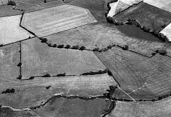 Bronze Age Barrow cemetery south-east of Elms Farm, Sheepy Magna. © Jim Pickering/NMR Bronze Age Barrow cemetery south-east of Elms Farm, Sheepy Magna. © Jim Pickering/NMR