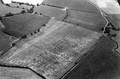 Bronze Age Barrow cemetery south-east of Elms Farm, Sheepy Magna. © Jim Pickering/NMR Bronze Age Barrow cemetery south-east of Elms Farm, Sheepy Magna. © Jim Pickering/NMR