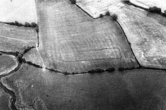 Bronze Age Barrow cemetery south-east of Elms Farm, Sheepy Magna. © Unknown Bronze Age Barrow cemetery south-east of Elms Farm, Sheepy Magna. © Unknown