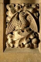 Bird in oak tree, Newbold Verdon church  © Leicestershire County Council