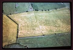 Bronze Age barrow cemetery SE of Elms Farm © Leicestershire County Council Bronze Age barrow cemetery SE of Elms Farm © Leicestershire County Council