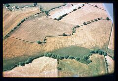 Bronze Age Barrow cemetery south-east of Elms Farm © LCC Bronze Age Barrow cemetery south-east of Elms Farm © LCC
