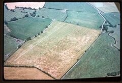 Bronze Age Barrow cemetery south-east of Elms Farm © LCC Bronze Age Barrow cemetery south-east of Elms Farm © LCC