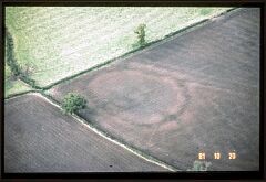 Iron Age enclosure NW of Newhall © LCC Iron Age enclosure NW of Newhall © LCC