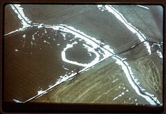Iron Age enclosure NW of Newhall © LCC Iron Age enclosure NW of Newhall © LCC