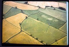 Iron Age enclosure north of Newhall Farm © LCC Iron Age enclosure north of Newhall Farm © LCC
