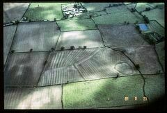 Iron Age enclosure NW of Newhall © LCC Iron Age enclosure NW of Newhall © LCC