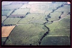 Hamilton deserted medieval village © LCC Hamilton deserted medieval village © LCC