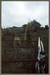1997 site visit of Kirby Moats © Leicestershire County Council 1997 site visit of Kirby Moats © Leicestershire County Council