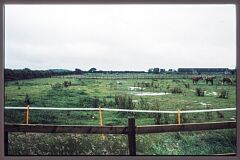 1997 site visit of Kirby Moats © Leicestershire County Council 1997 site visit of Kirby Moats © Leicestershire County Council